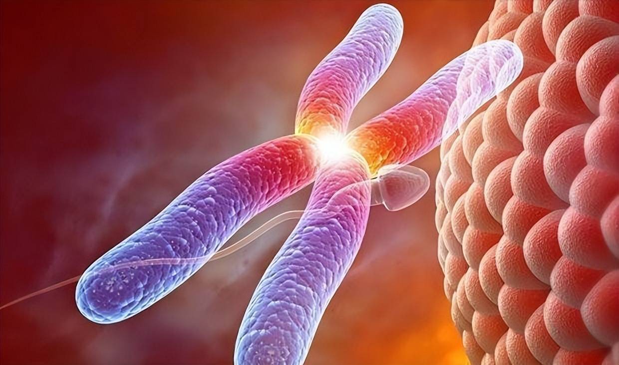 全员雌性无生殖隔离靠偷别人的精子繁衍后代这是什么动物