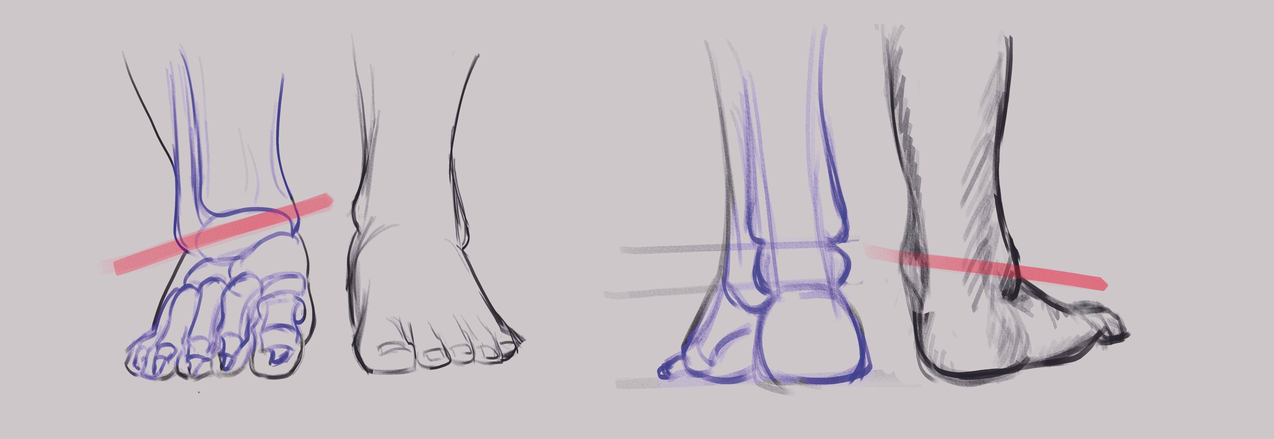 如何正确的画脚部 教你画好人物脚部的方法 绘画 灵猫 足部