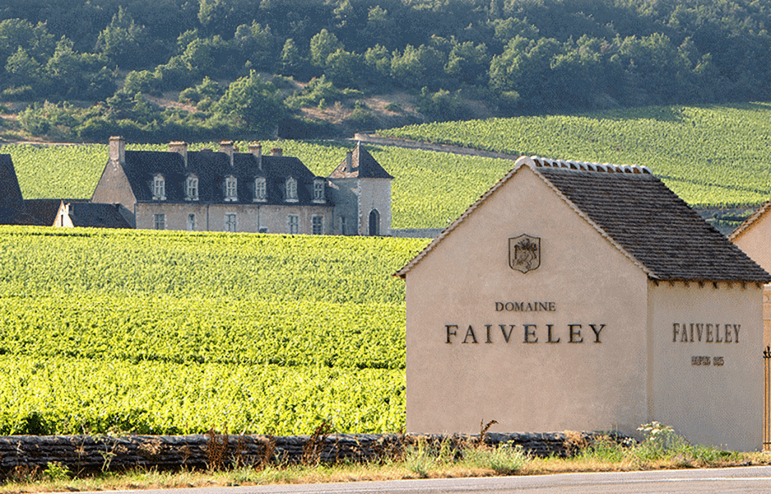 勃艮第大酒庄法维莱faiveley
