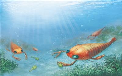 钝齿宏颌鱼志留纪海洋脊椎动物的武林盟主