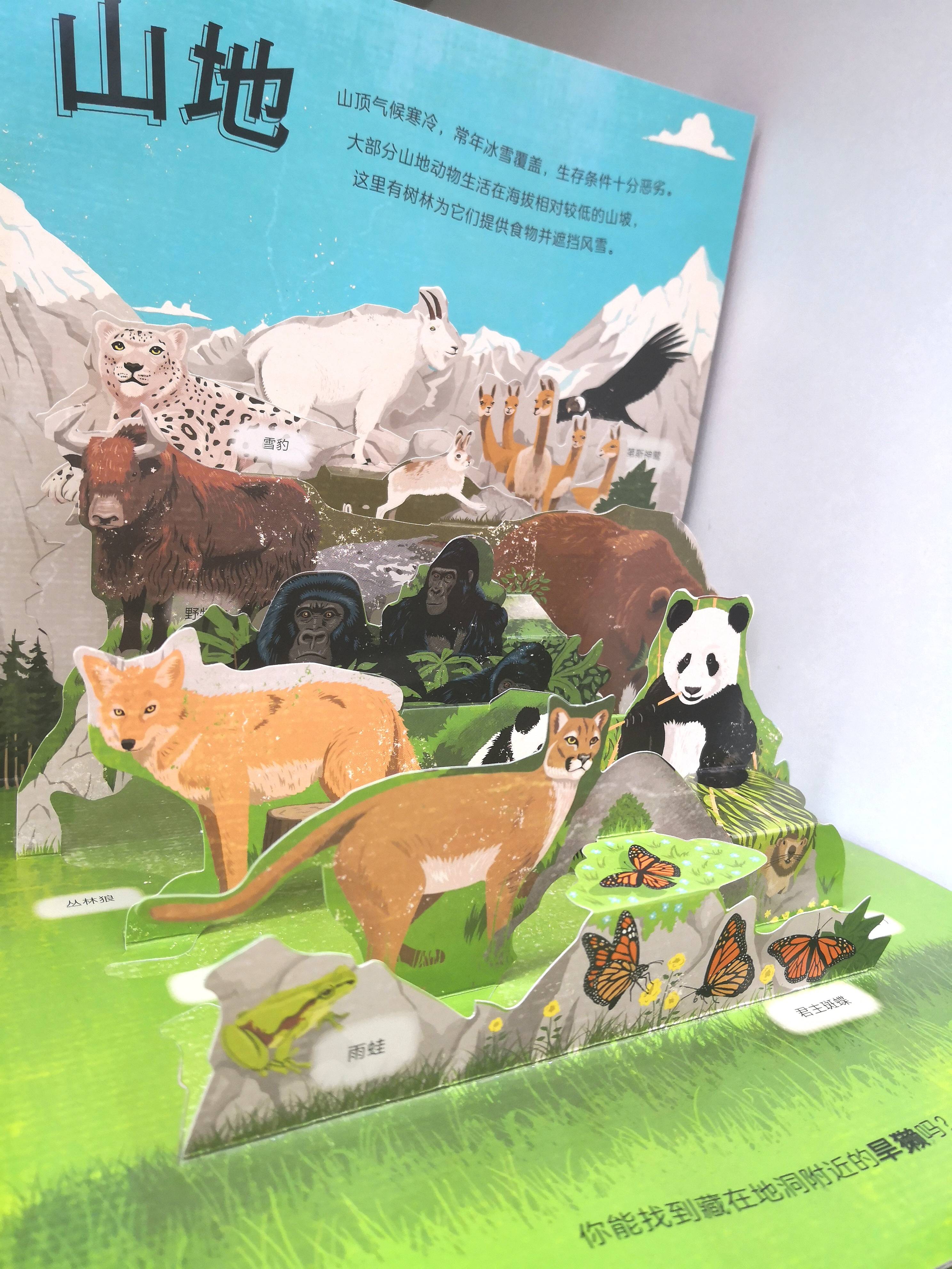 原创你了解不同栖息地上的动物吗这本立体书告诉你