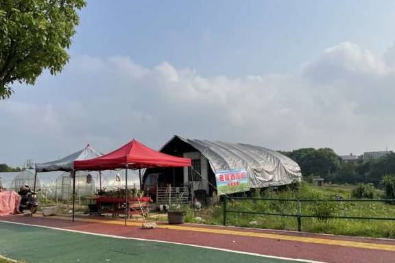 长沙夏日潇湘北路正荣到月亮岛路段，有独特的风景线-本地西瓜摊