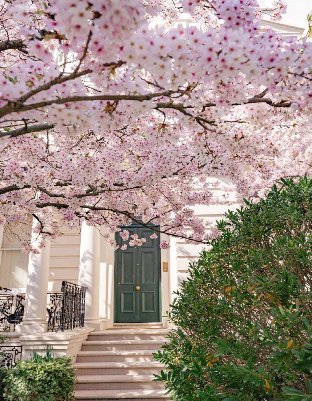 伦敦好房chelseabotanica西伦敦sw6fulham诗意桃源