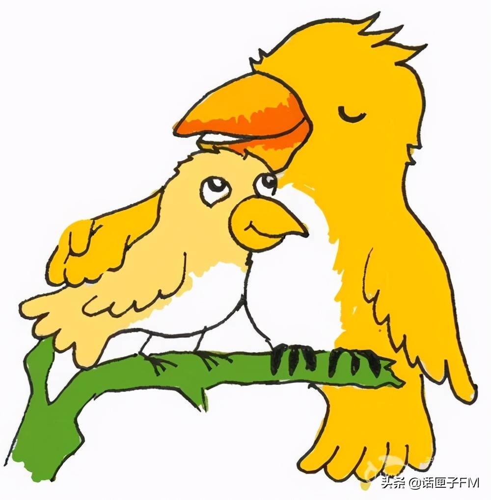 我是被人类摆拍的那只黄鹂鸟,我想说