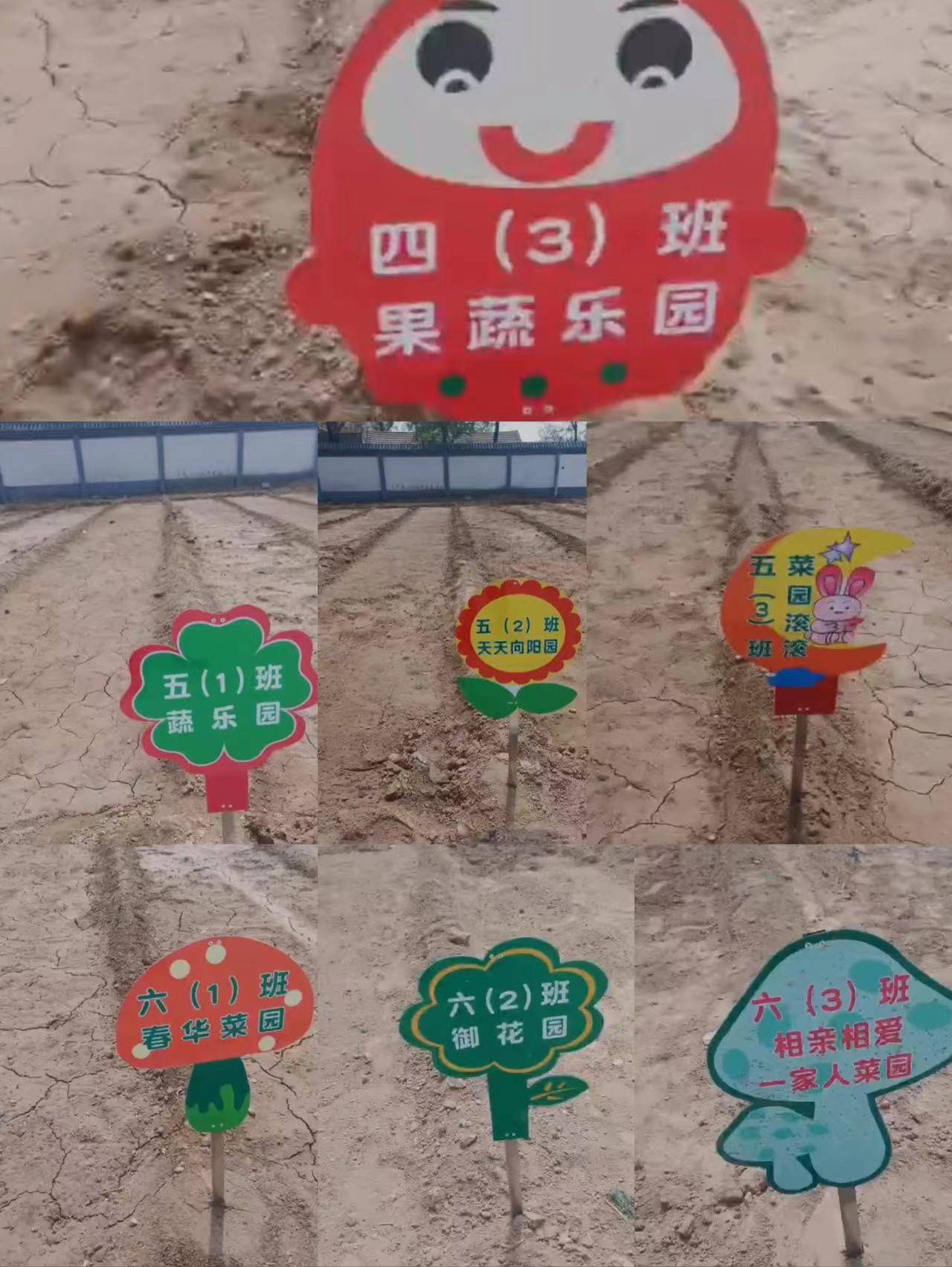 谱华章--清丰县韩村镇韩村小学健康农场活动剪影_种植_班级_健康农场