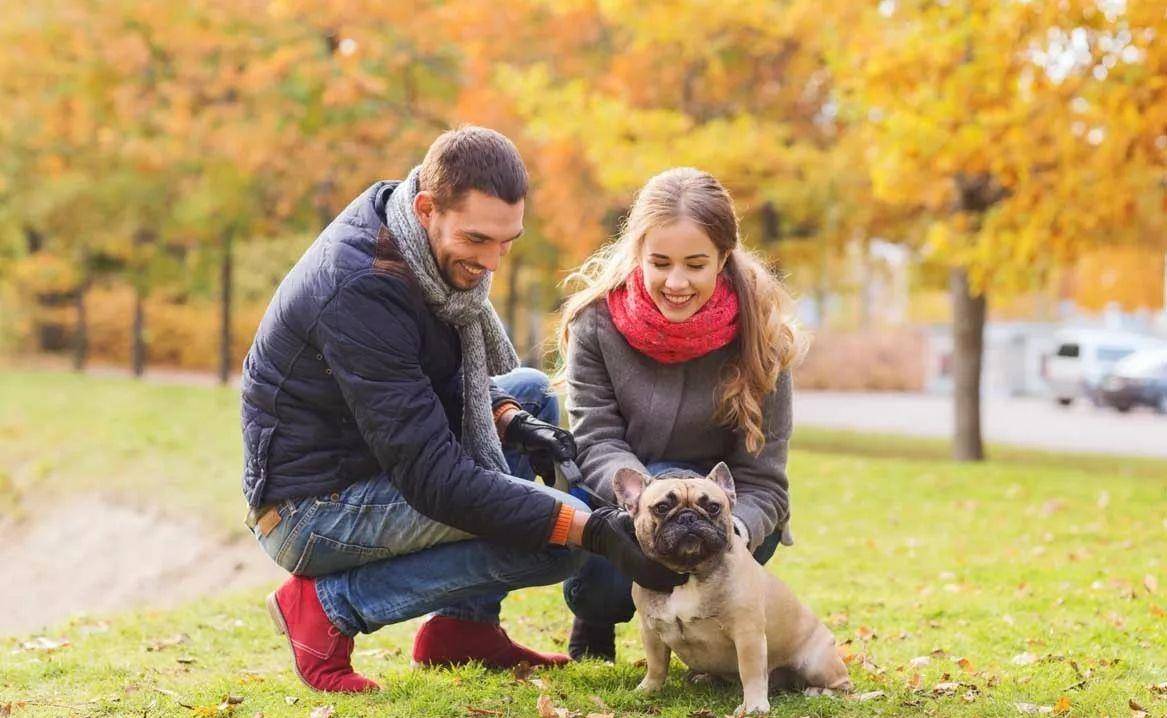 怎么在保证安全的状态下和一只陌生的狗狗充满爱意地互动?