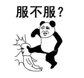 洛阳这种一言不合就高温40℃ 就问你服不服不服是吧,憋着!