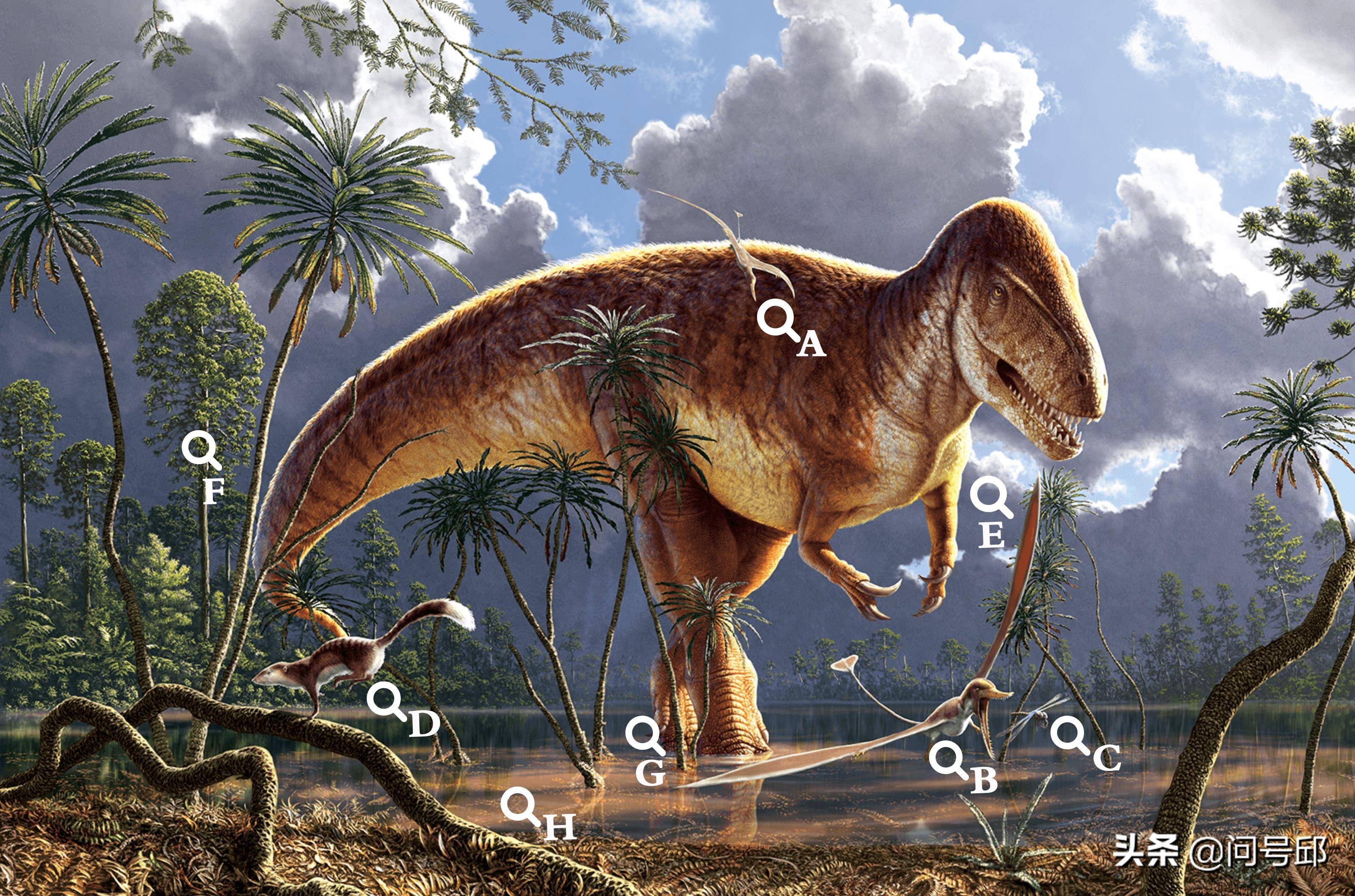 原创从一张侏罗纪恐龙的插图中探索当年地球的多样物种和生态系统