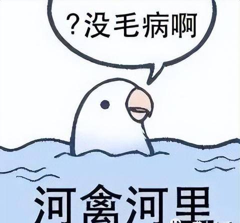 原创
千万!别随便!让男票拍纯欲风照片哈哈哈哈哈哈妈妈我害怕