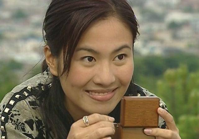 电视剧行列中,这里不与其他港台美人比较我认为叶璇演绎的海棠这个