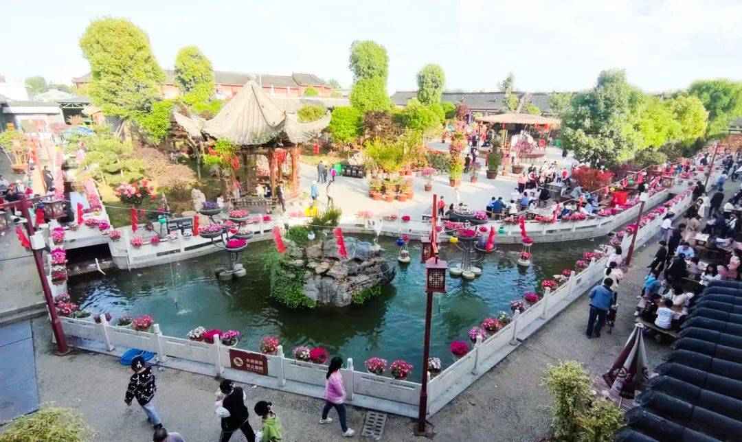 南阳宛拾叁千人相亲会来啦