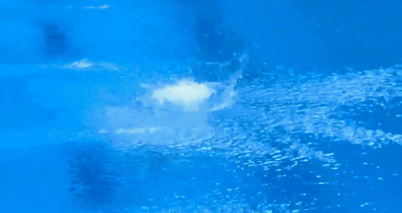 陈若琳细节让人感动,目标夺两金_跳水_指导_比赛