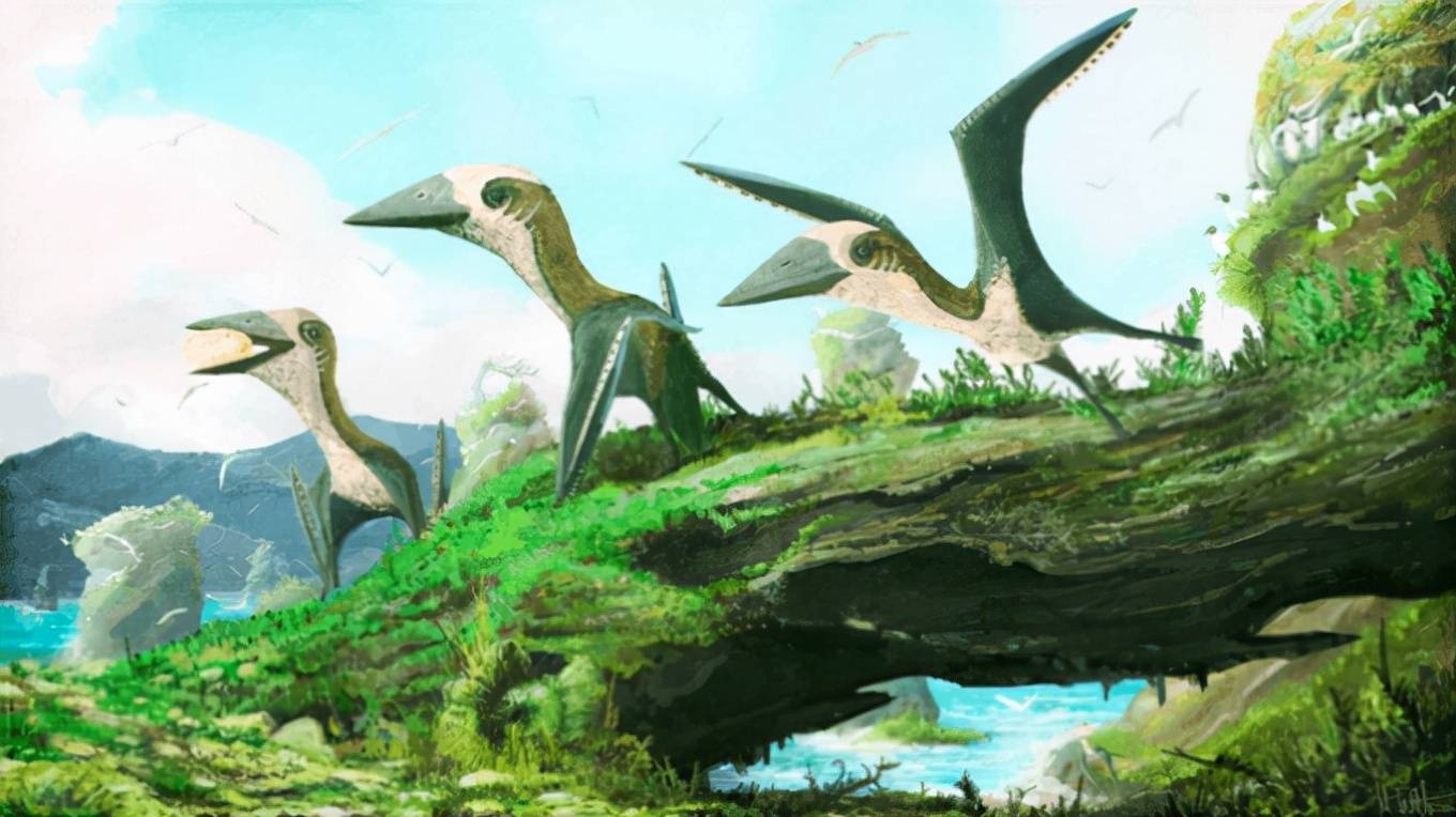 科学|baby翼龙可能孵化后就可以飞行_化石_冷血动物_婴儿