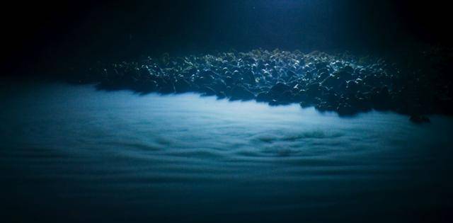 原创10000的海底有多么的恐怖资深的潜水员也会感到害怕