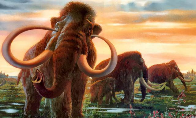 原创6年内复活已经灭绝了4000多年的长毛象真的能做到吗