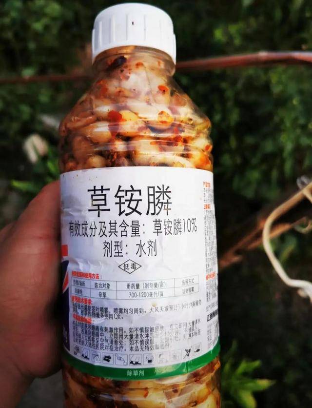 湖南女子收到外婆做的酸蒜,没想到装在农药瓶里,网友:我妈更绝_瓶子