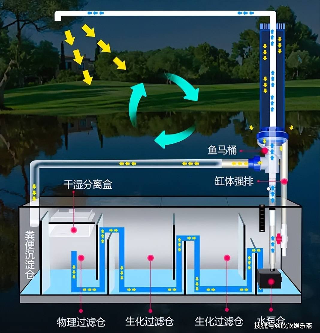 探讨鱼缸的过滤系统,以及硝化细菌是否需要每次换水都添加!