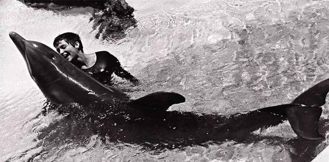 原创nasa提供资金雄性海豚和女饲养员实验结果怎么样了