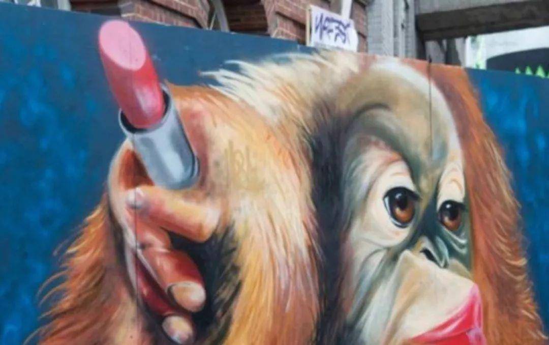 原创2003年印尼一红毛猩猩遭囚禁被迫化妆接客六年只需要两英镑