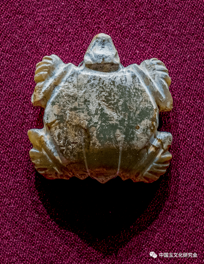 展讯礼出红山红山文化精品文物展
