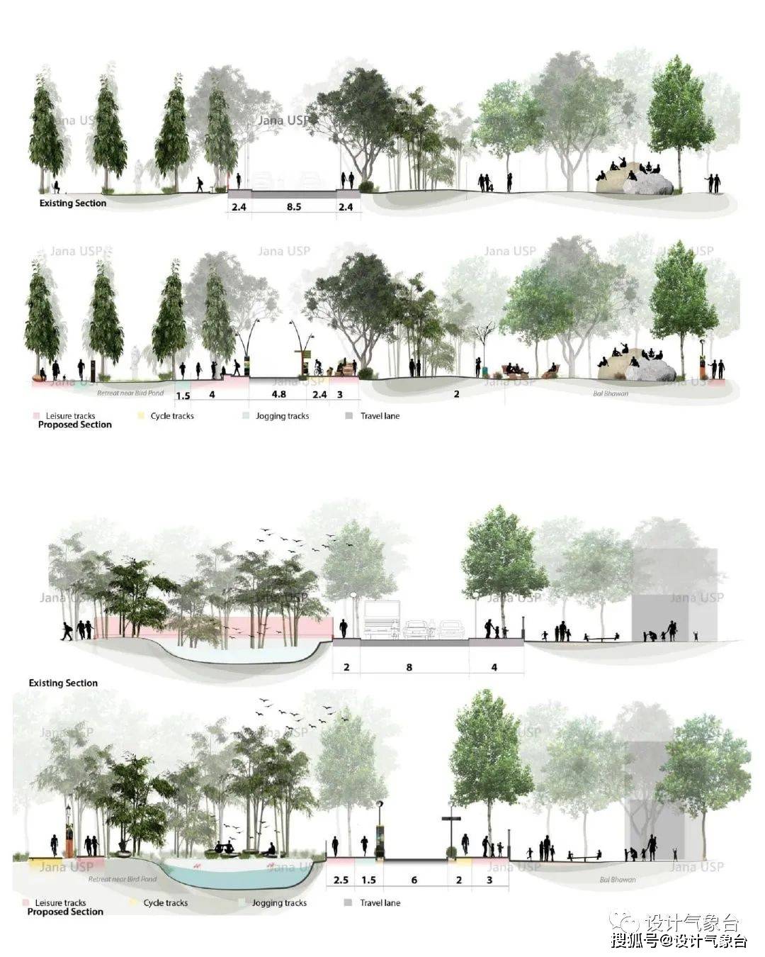 植物群落平面图立面图图片