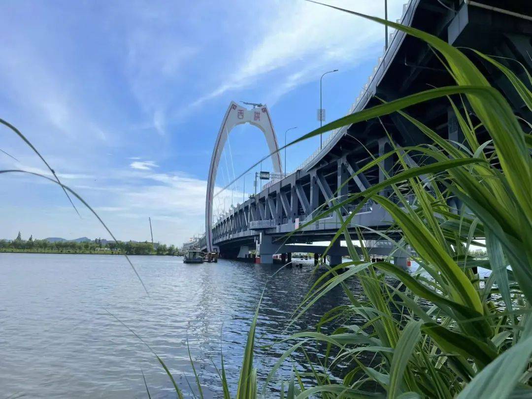 西洪大桥项目主线高架将于6月29日(明天)通车_前洋_宁波市_经济开发区