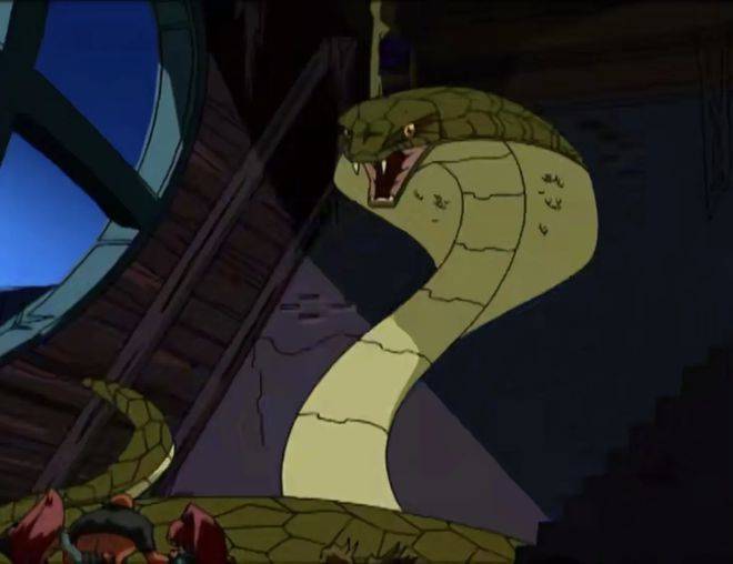 女人被毒蛇咬伤后,模仿电视剧用嘴吸蛇毒却加剧症状_阿姨_伤口_伤人