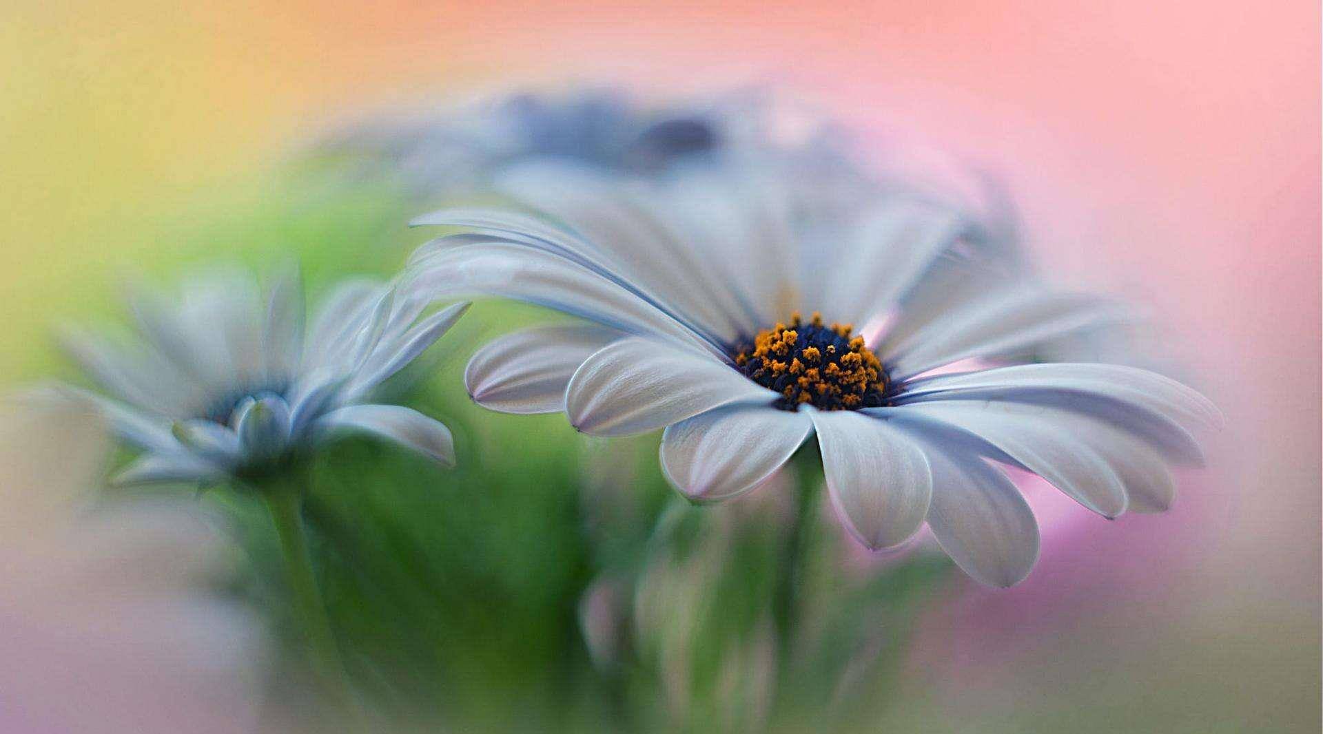 6月28日到7月7日 四大星座大运加身 命里财旺 财运畅通无阻 事业 Chu 生活