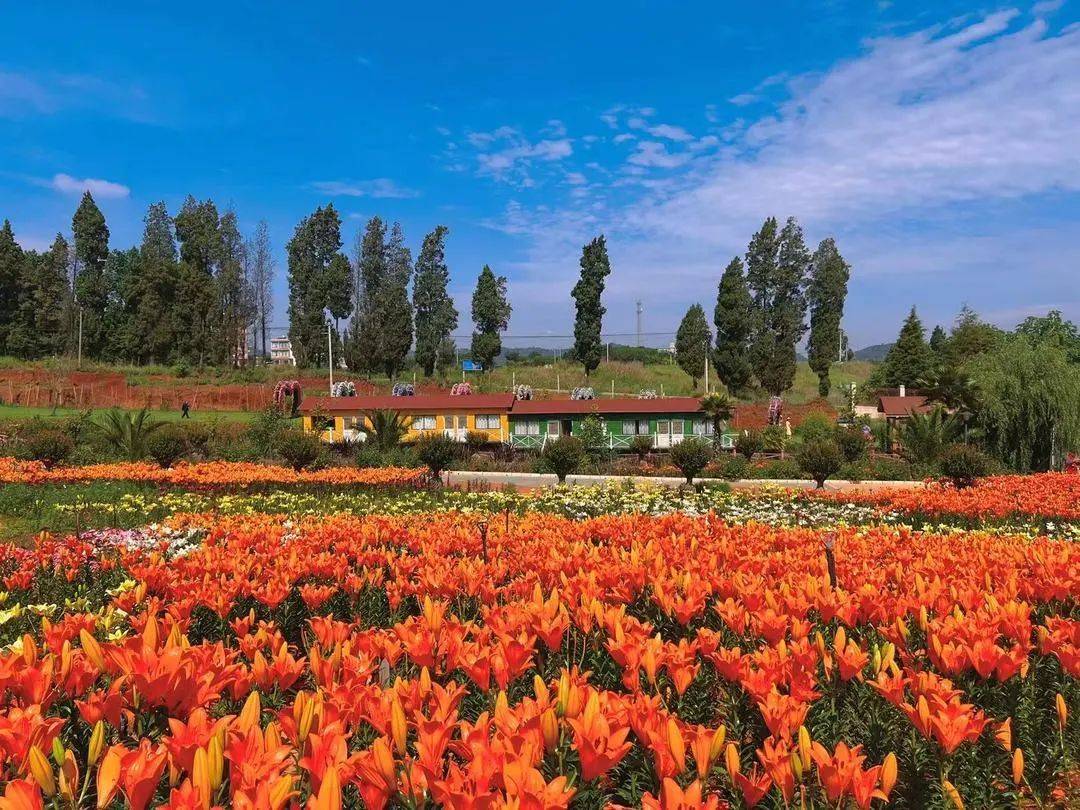 昆明百花箐山谷景区图片