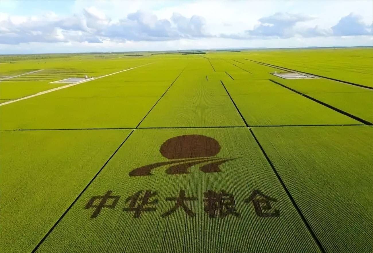 中国最大粮仓北大荒,辛苦开垦半世纪,为何要退耕还"荒"?