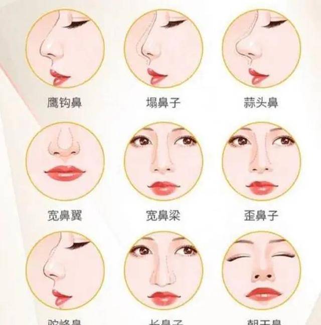 十种鼻型分类图图片