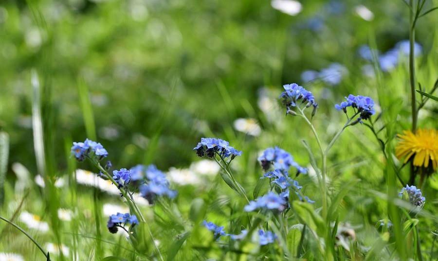 6月28日星座日运 巨蟹运势正旺 射手神采奕奕 双鱼喜气洋洋 建议 王星 善加利用