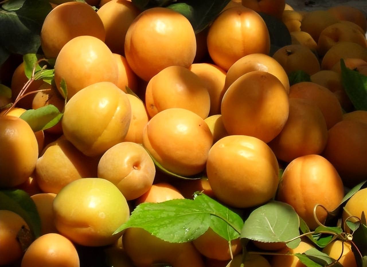 原来这几种吃法都很健康_杏仁_因为_点水果