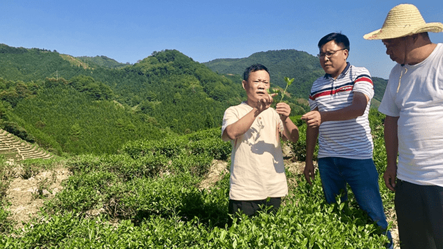 王清海简介图片