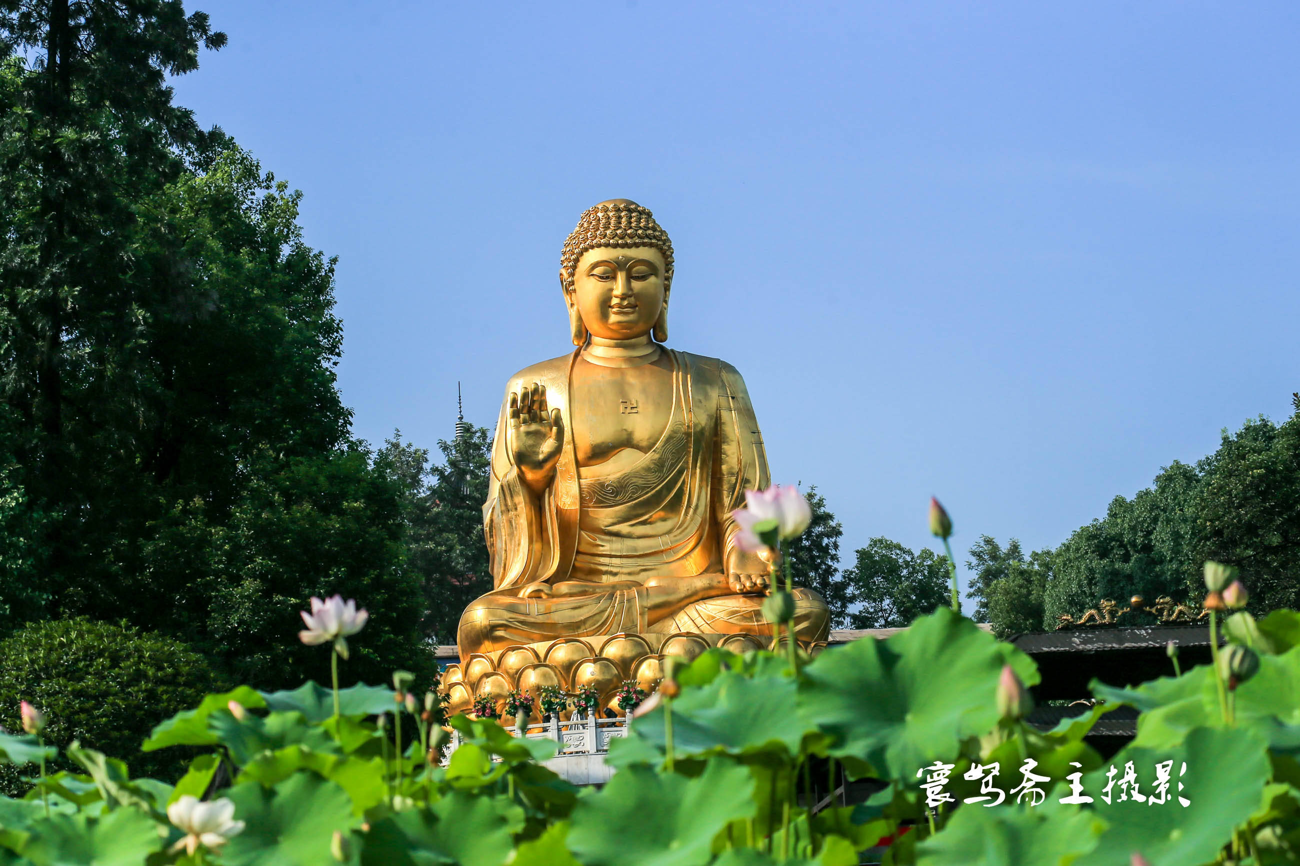 原创在寺院里拍照为什么不能正面去拍室内的佛像这些禁忌你知道吗