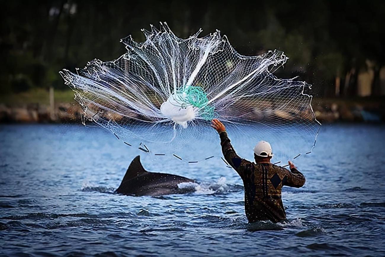 帮助人类捕鱼的海豚,它是我们最好的伙伴_发出信号_训练_合作