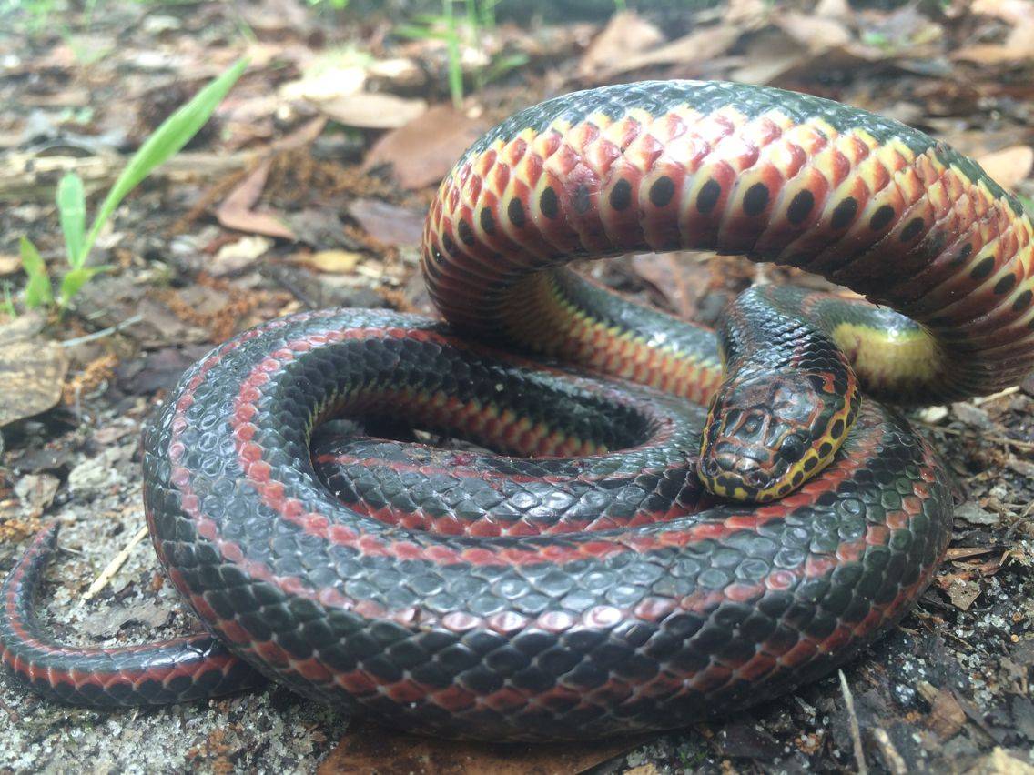 Did you hear?! We're having a SUPER MARIO FUNFAIR this Saturday! What are  you waiting for? Mario is already here! 😆 📍 Big Apple Tiger Lane 🗓️ 25  October 2025 (Sat) |, image size:1136x852