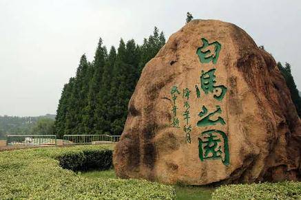 免门票！南京一处白马石刻公园，占地可达五百多亩，就在玄武区