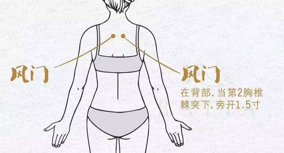 发烧了灸透这个穴,比打针吃药强10倍!_艾灸_风门_阳经