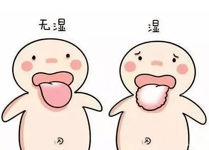 徐州中医名松堂脾湿寒湿内盛或湿热内蕴怎么进行调理以健脾祛湿为主