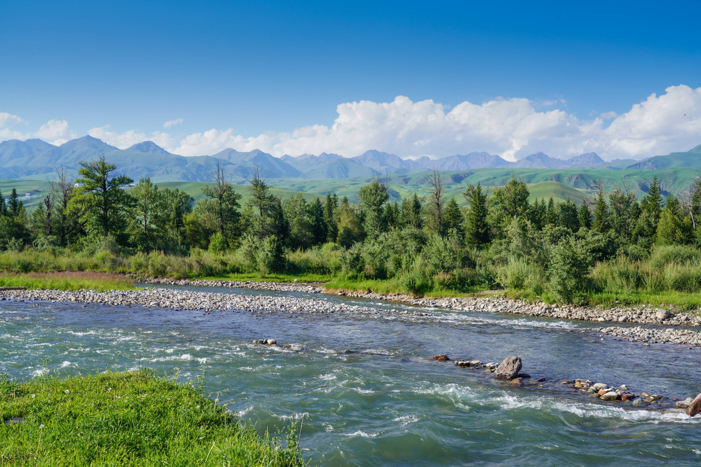 新疆美景太迷人，在那拉提河谷草原，河水伴随草原森林，是大自然的仙境