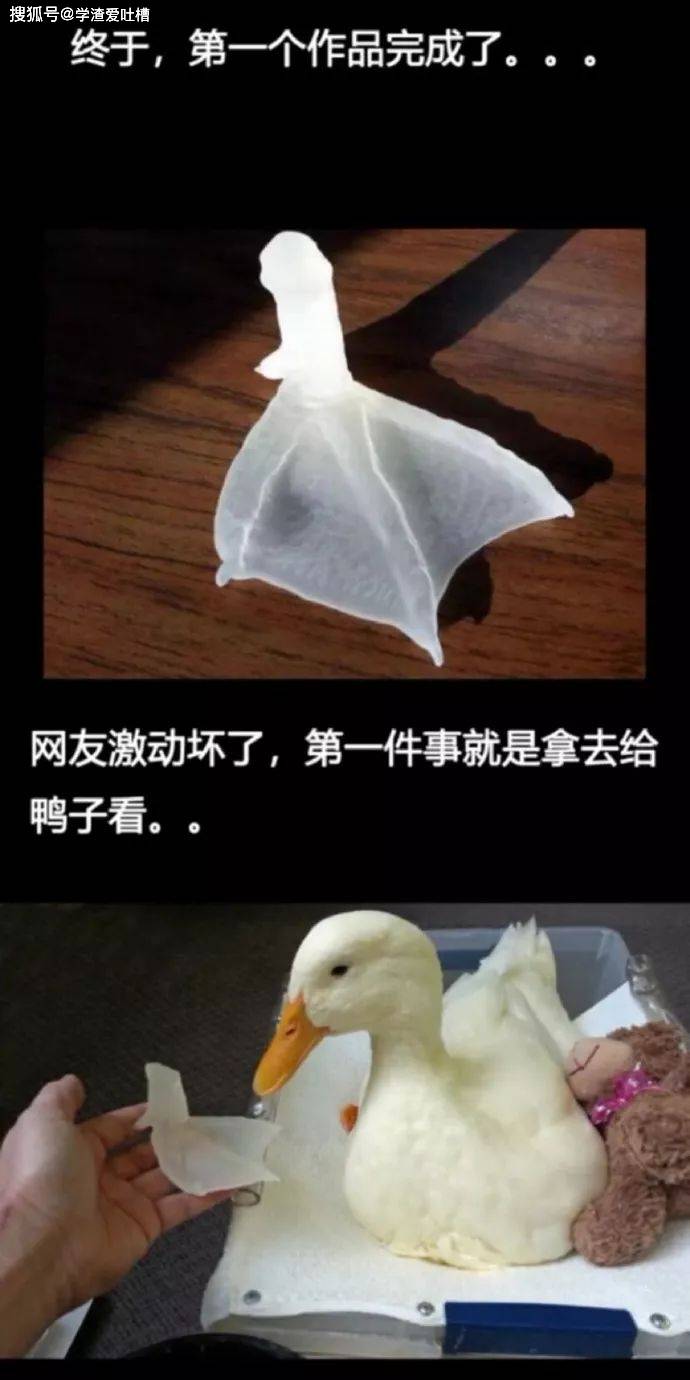 “以为你们在开车…对不起,原谅我第一眼想歪了!”