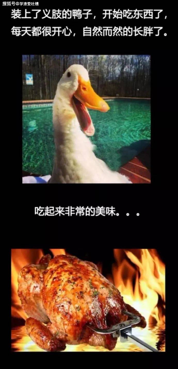 “以为你们在开车…对不起,原谅我第一眼想歪了!”