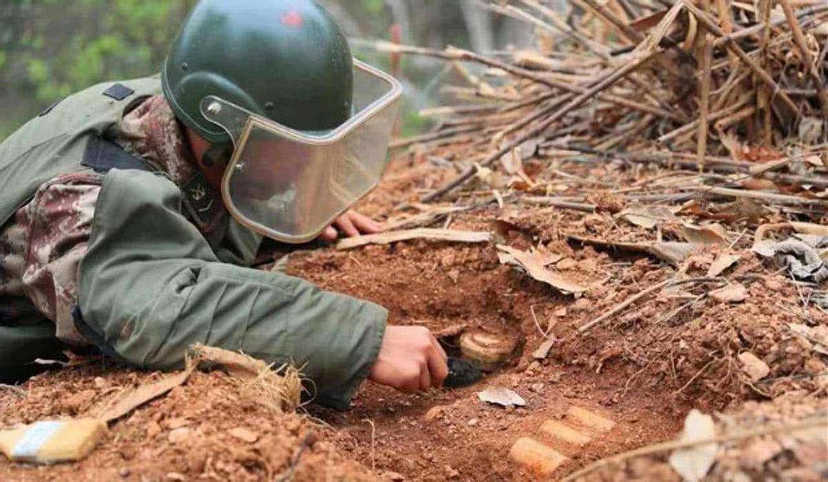 堪比特种兵的"非洲巨鼠,每年排雷1.