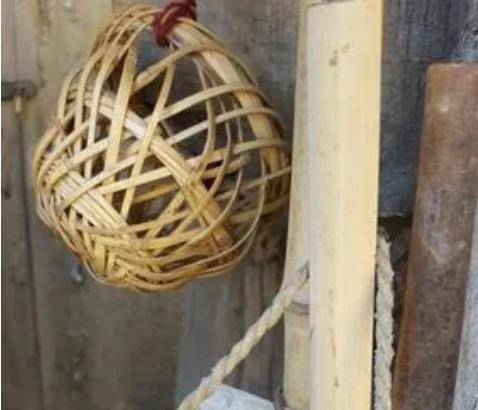 没错,这个就是给牛戴的,一般都是用竹片编织而成的,它的作用就是为了