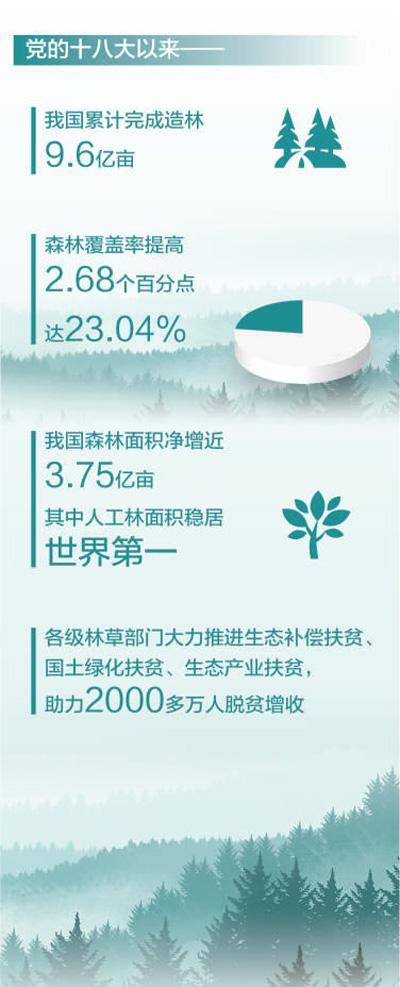 中国森林覆盖率2050图片