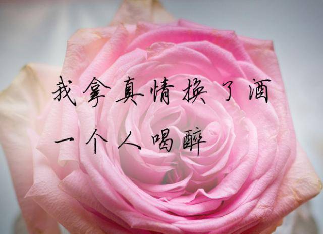 勇敢前行,就是最好的放下_一个人_爱情_结局