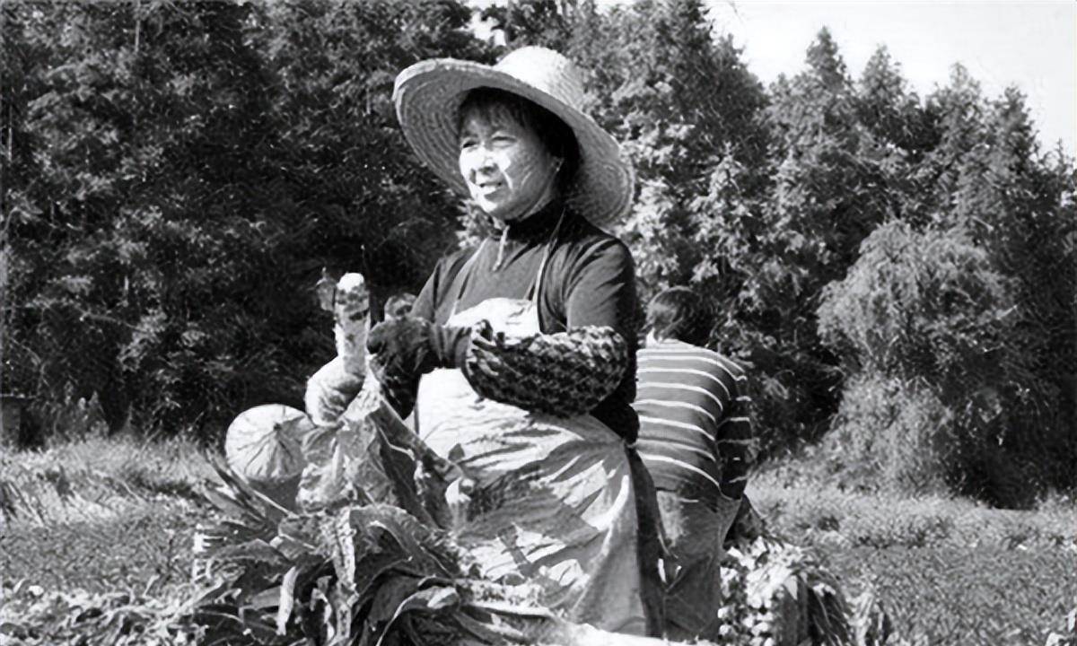 美女特工张春莲:为掩饰身份嫁庄稼汉,潜伏大陆30年