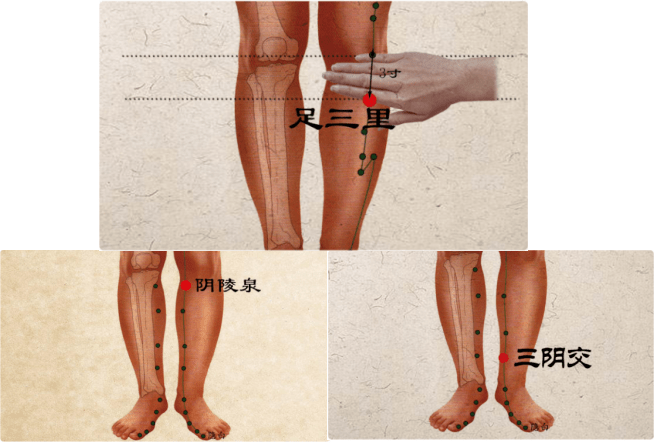 阳陵泉与足三里的距离图片