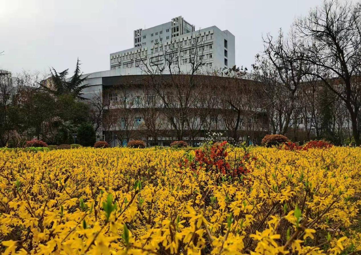 求答案：陕西工业职业技术学院好不好？专业怎么样？
